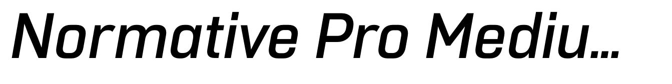 Normative Pro Medium Italic
